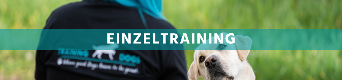 Einzeltraining