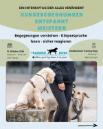 Intensivtag zum Thema Hundebegegnungen