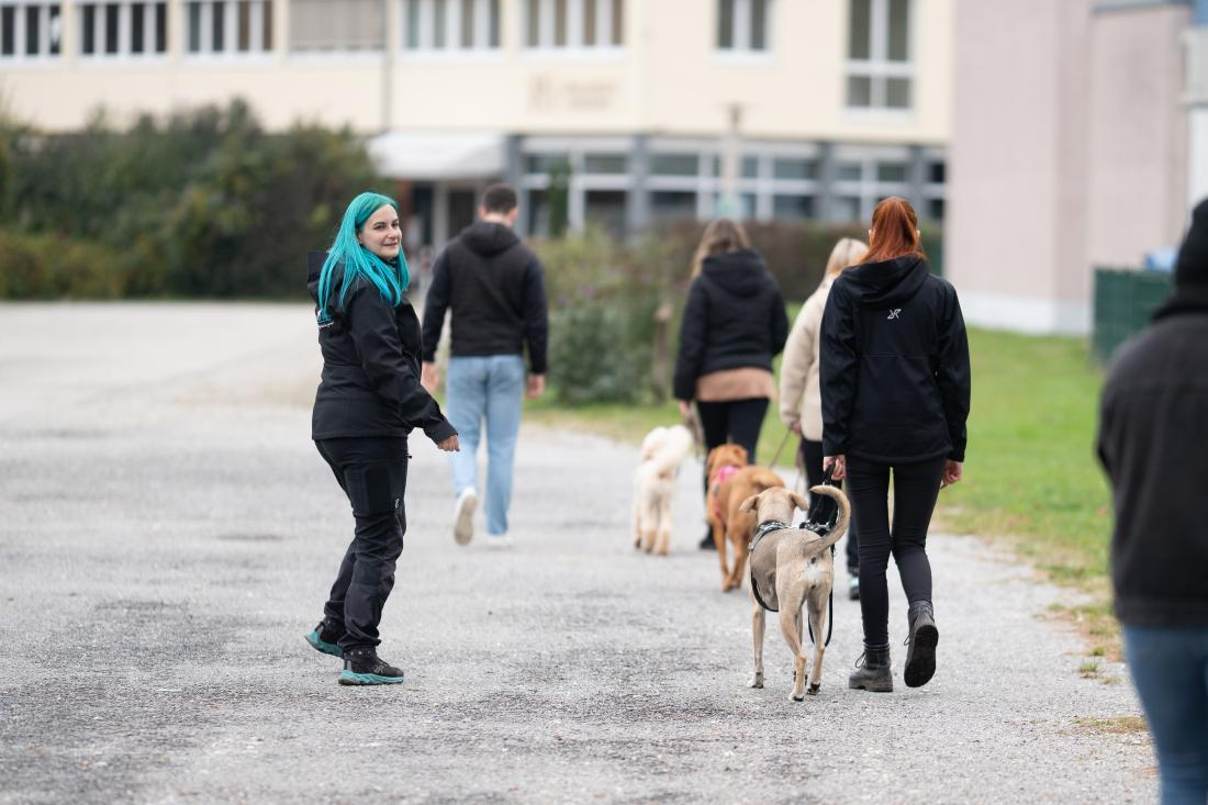 Social Walk